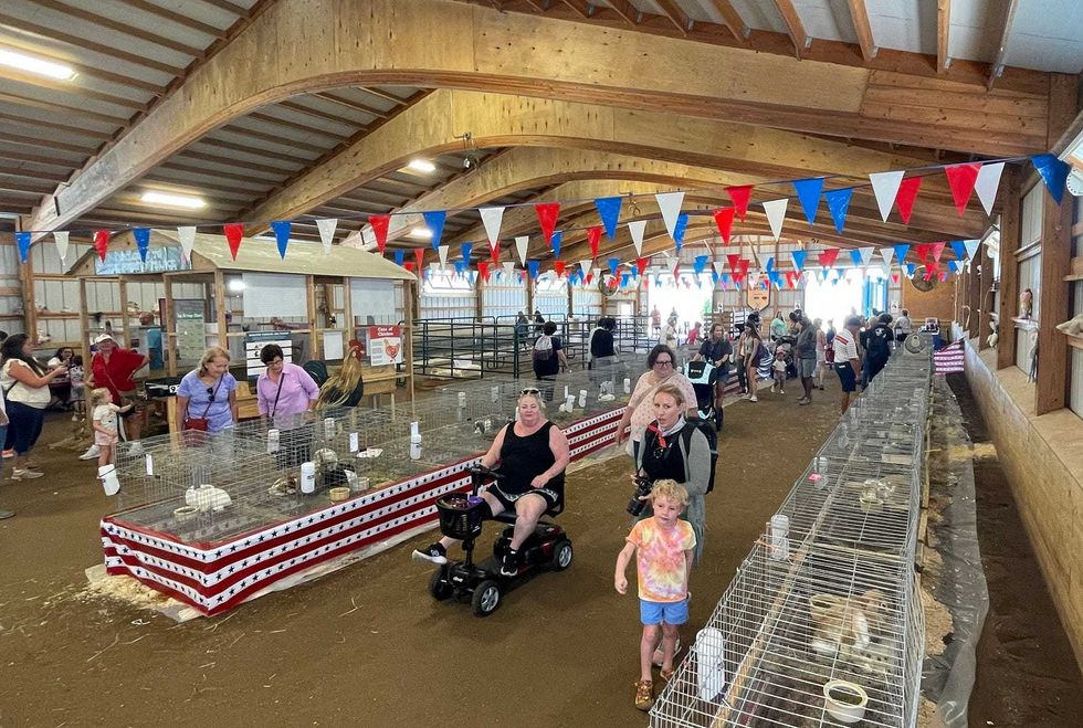 Erie County Fair chicken and rabbit barn