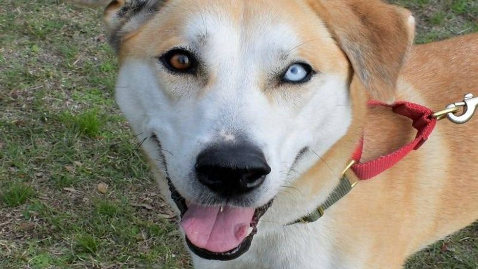 Esme @ Austin Humane Society 2/28/24