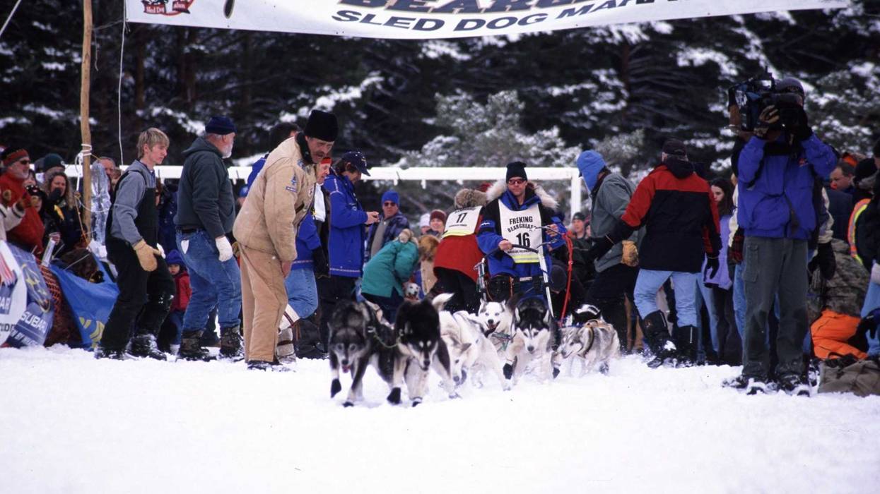 Established in 1980, the John Beargrease Sled Dog Marathon is one of the premiere sled dog races in North America. But they need snow in order to race, something Minnesota is lacking for the second consecutive year.