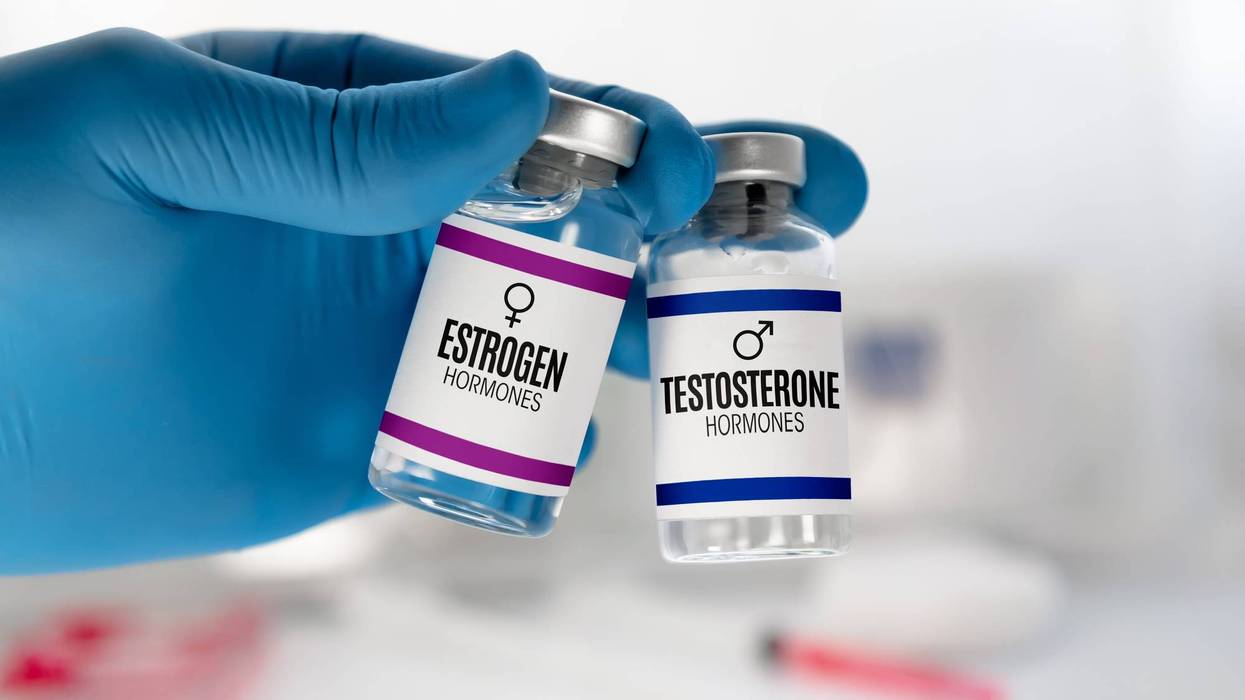estrogen and testosterone hormones