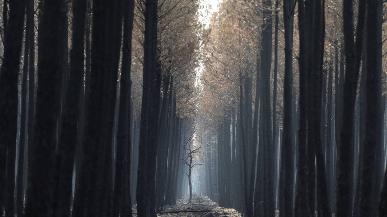 EUR-GEN EUROPA-INCENDIOS 7