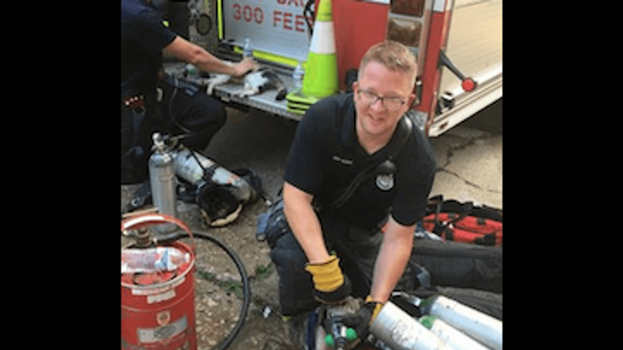 Evanston Fire Department rescued four animals after extinguishing a fire, Aug. 20, 2019.