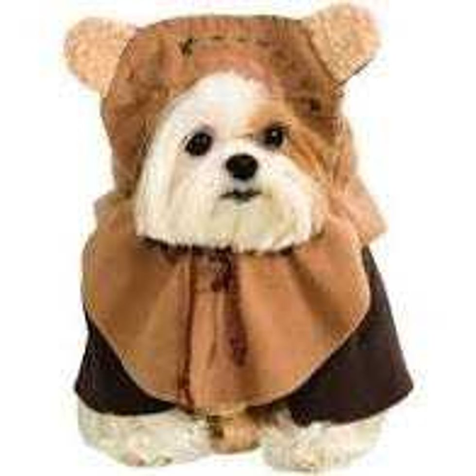 Ewok dog costume
