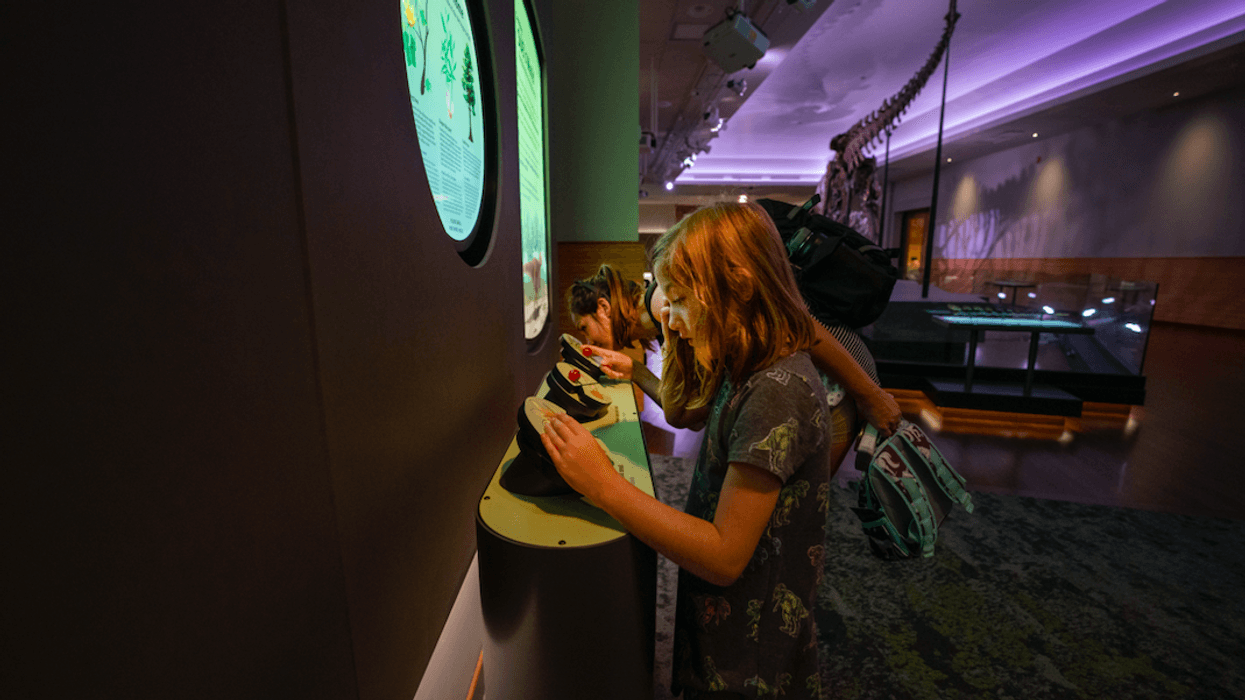 Experience SUE the T. rex like never before with new multisensory additions to the iconic dinosaur’s suite in the Field Museum’s Griffin Halls of Evolving Planet exhibition.