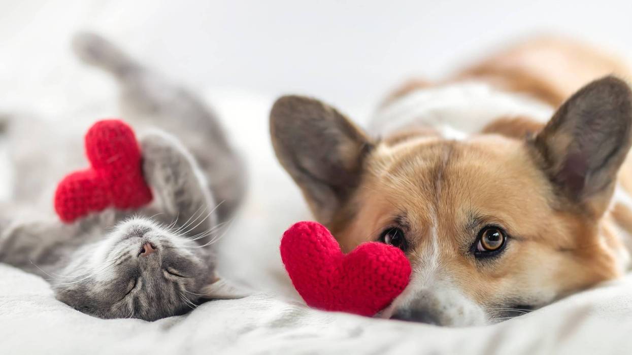 experts say there is so much we can give to our partners, family and friends to make them feel special and strengthen relationships not only on Valentine's Day, but throughout the year.