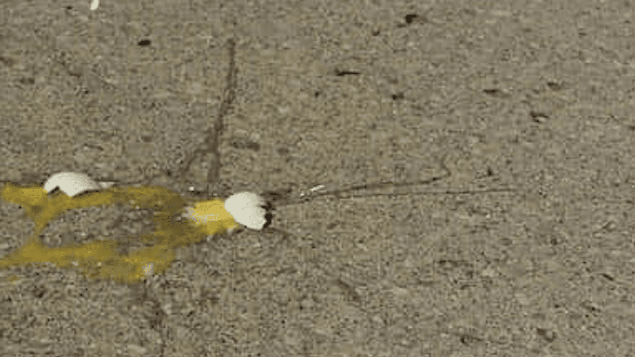Facebook group tracks down a serial egg thrower — and maybe shows a way for a neighborhood to fight back