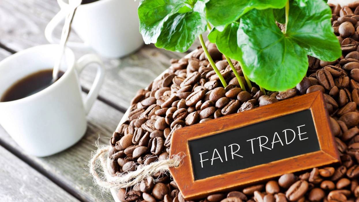 Fair Trade Coffee