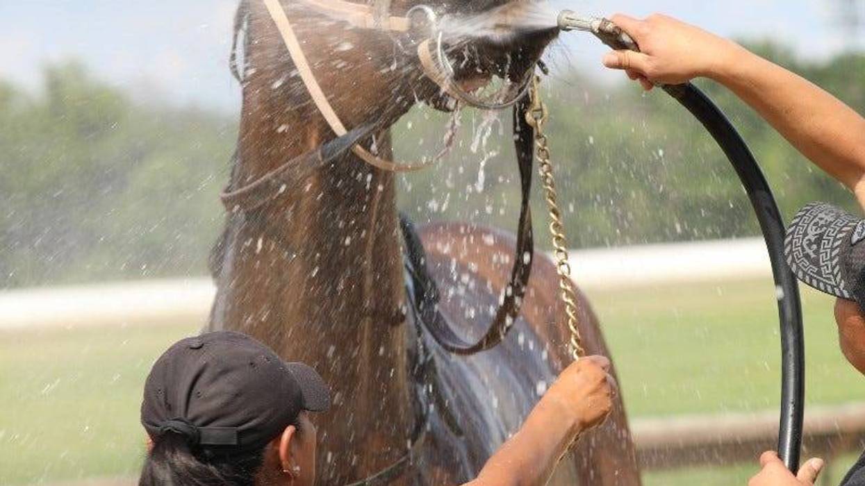 Fairmount Casino & Racing