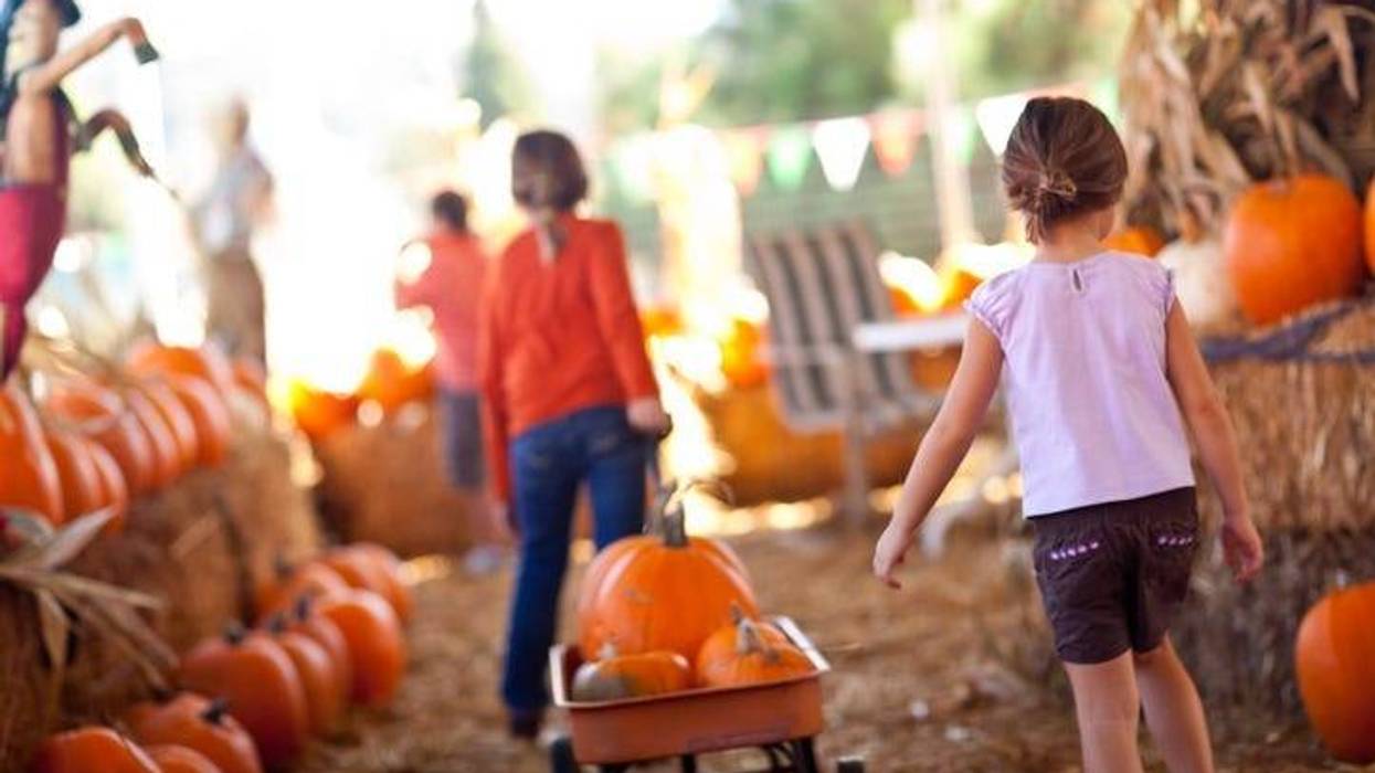fall activities