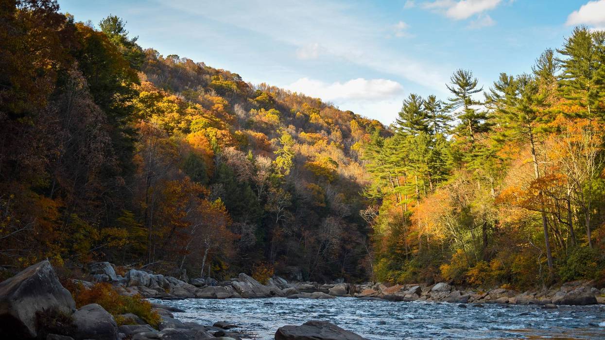 Fall foliage along the Youghiogheny River in Ohiopyle, Pennsylvania