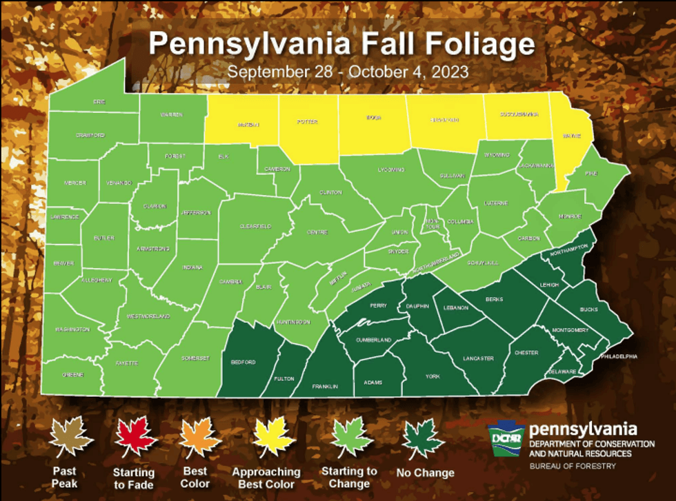 Fall Foliage map - Week 1