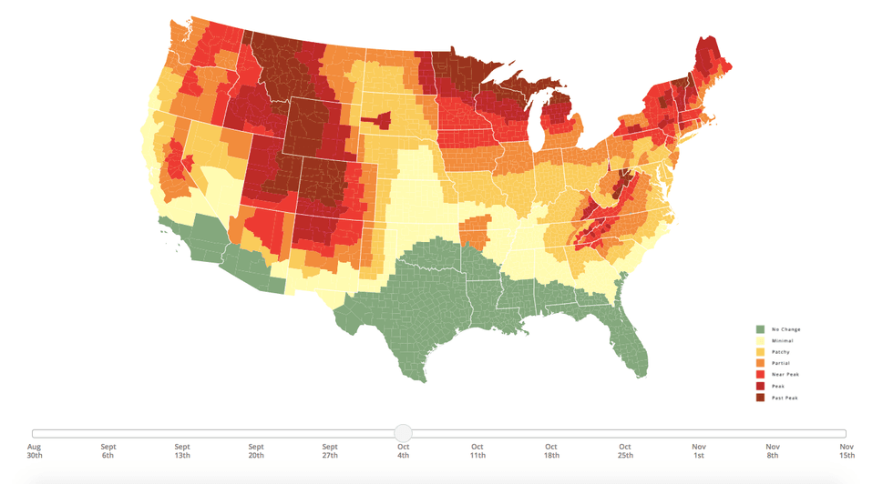 Fall foliage timeline for Southeast Michigan: