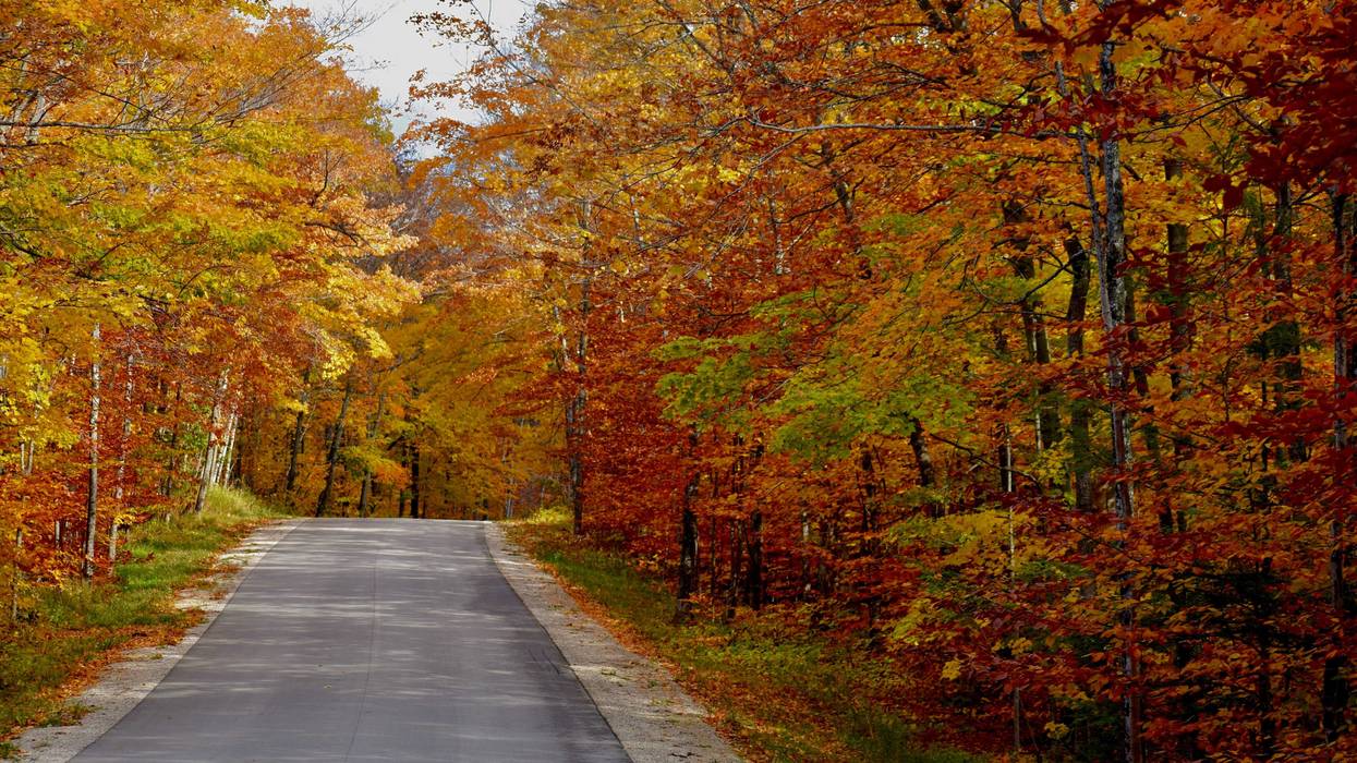 fall