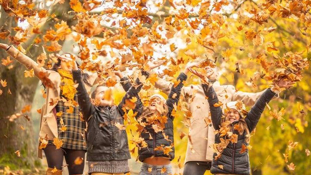 fall