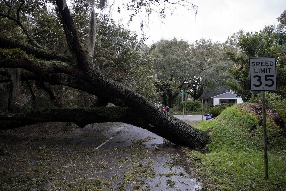 Ida's first fatality: Louisiana man killed in his home by a falling tree