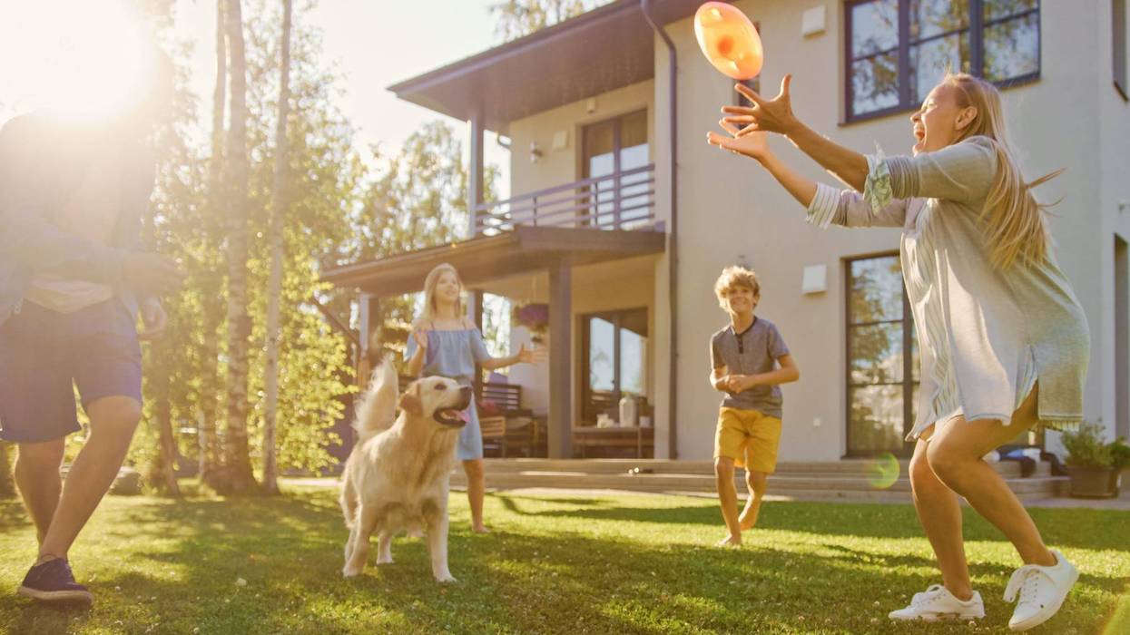 Family of Four Play Catch Toy Ball with Happy Golden Retriever Dog on the Backyard Lawn