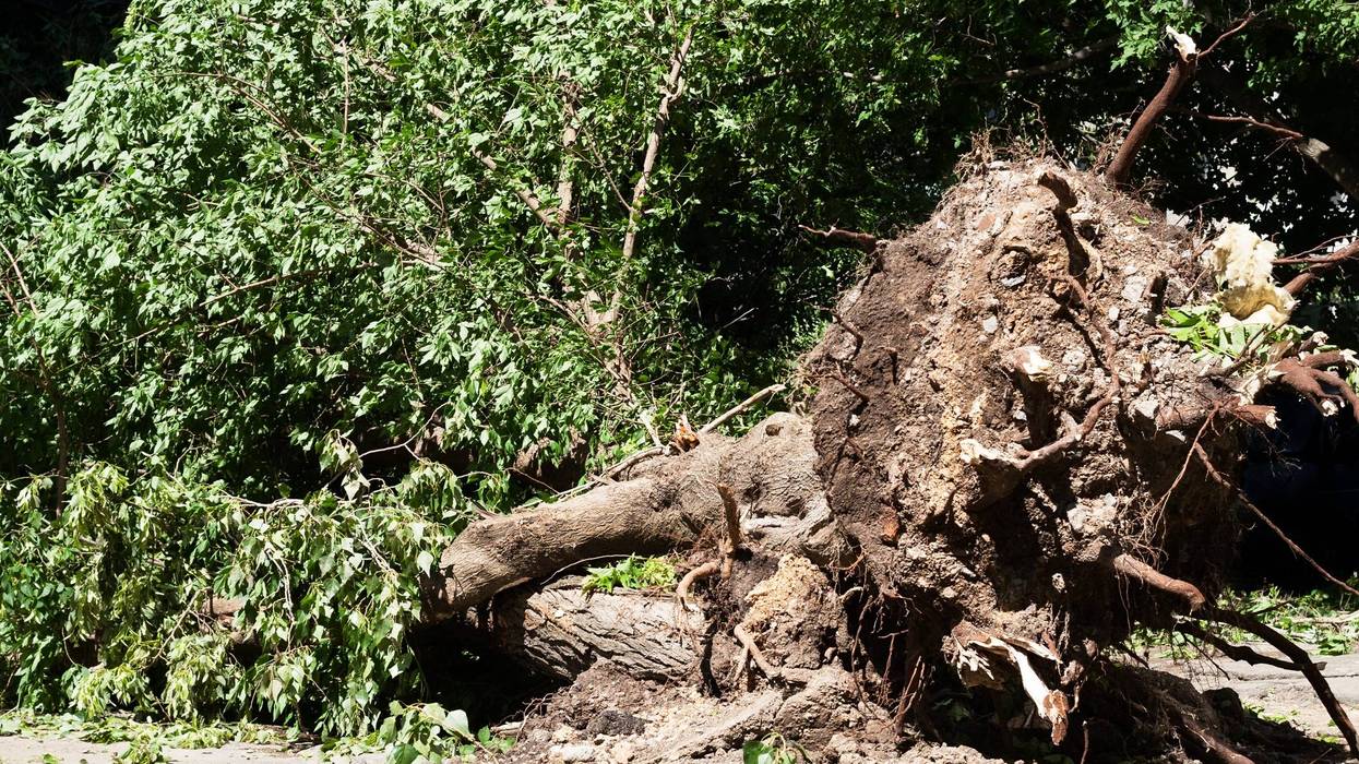Fannin County tornado causes a lot of damage but no injuries