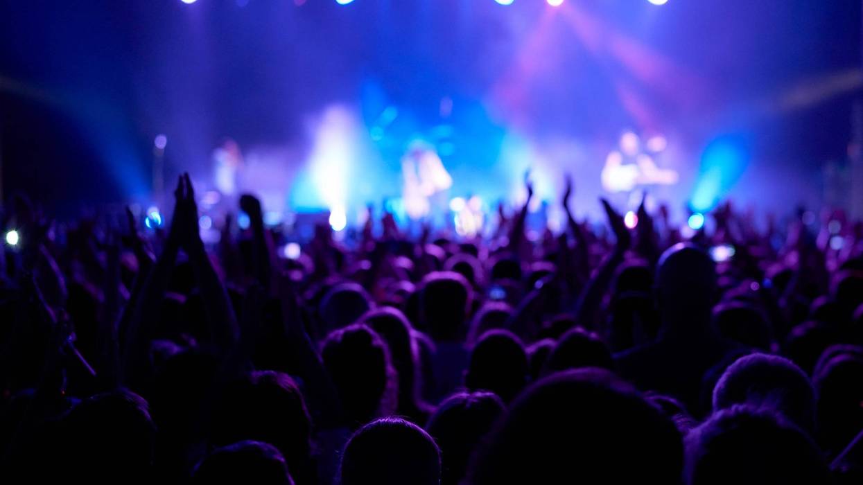 Fans at a live concert