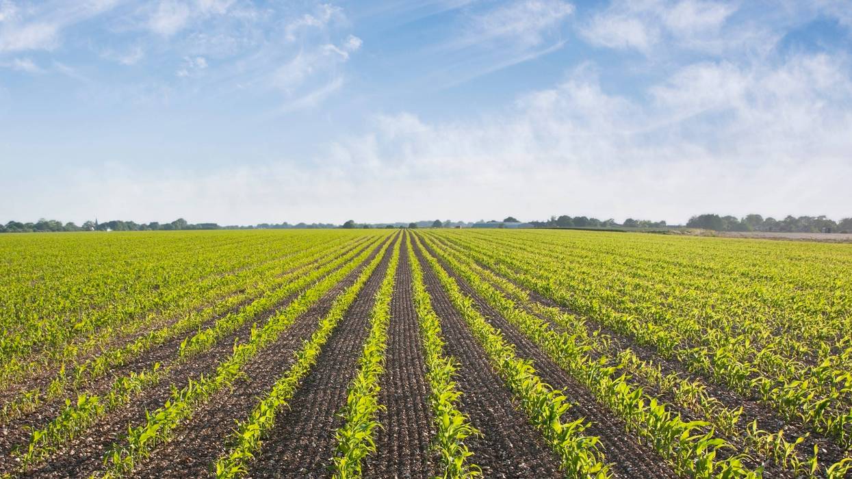 farm land