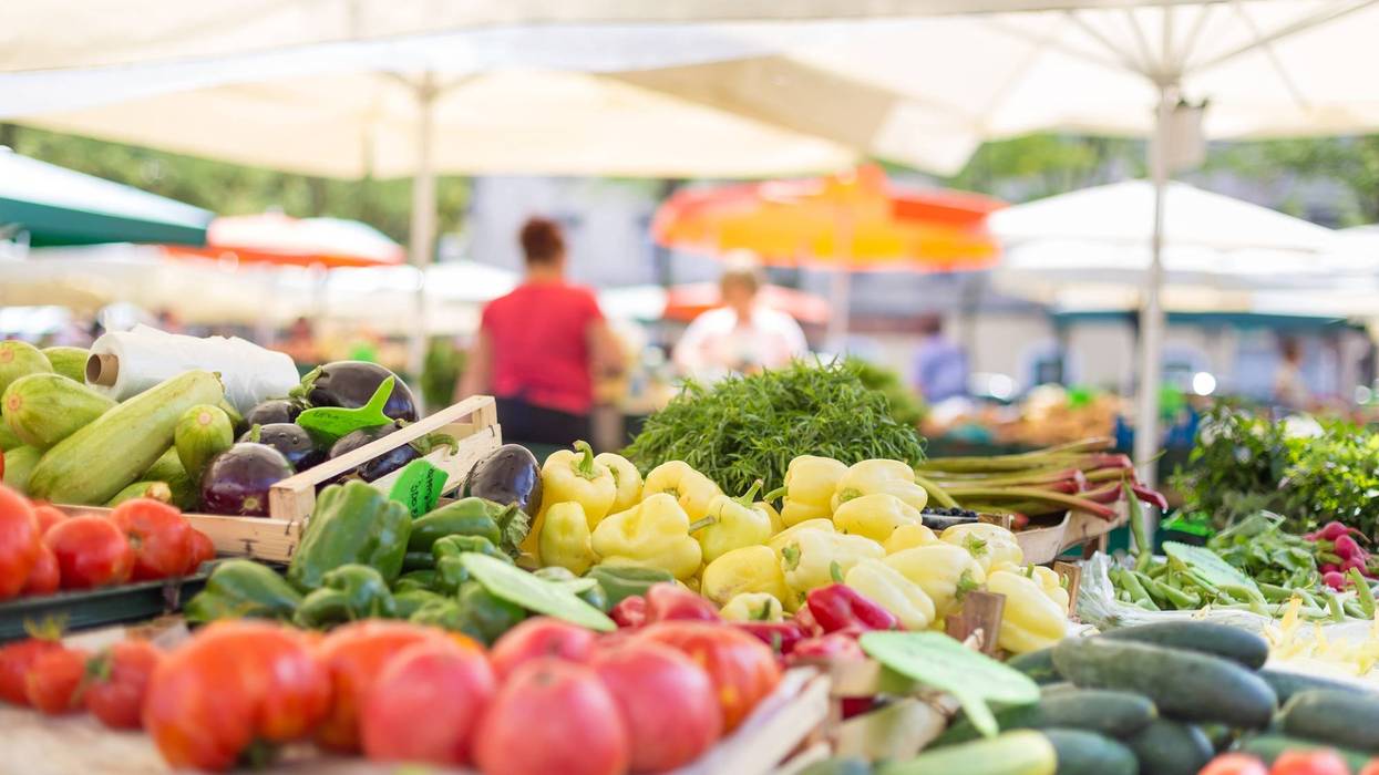 Farmers' food market stall with variety of organic vegetables