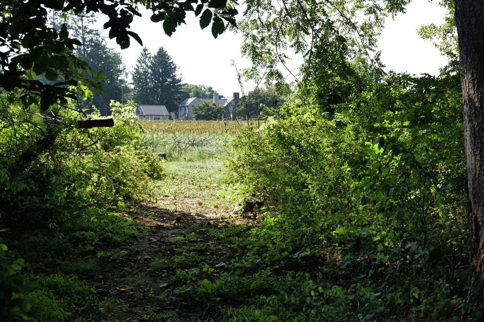 Farmland stands empty inside the perimeter of a search zone for escaped prisoner Danelo Cavalcante on Sept. 8, 2023, in Kennett Square, Pennsylvania.