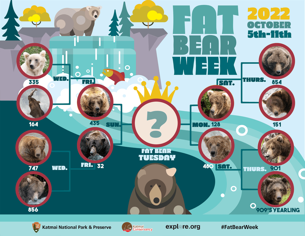 Fat Bear Week/NPS