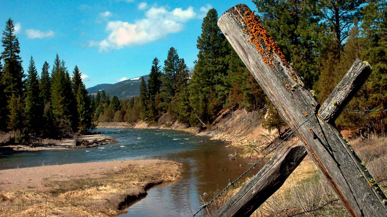 Fatal Grizzly Attack
