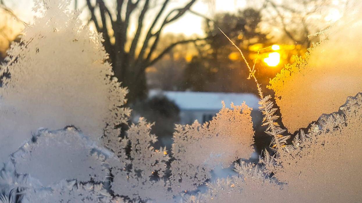 Feathered ice crystals on window, sunrise at background