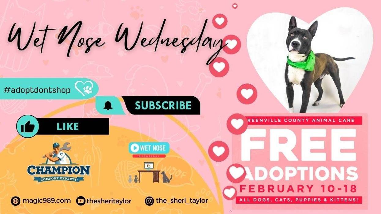 Fee Waived Adoptions