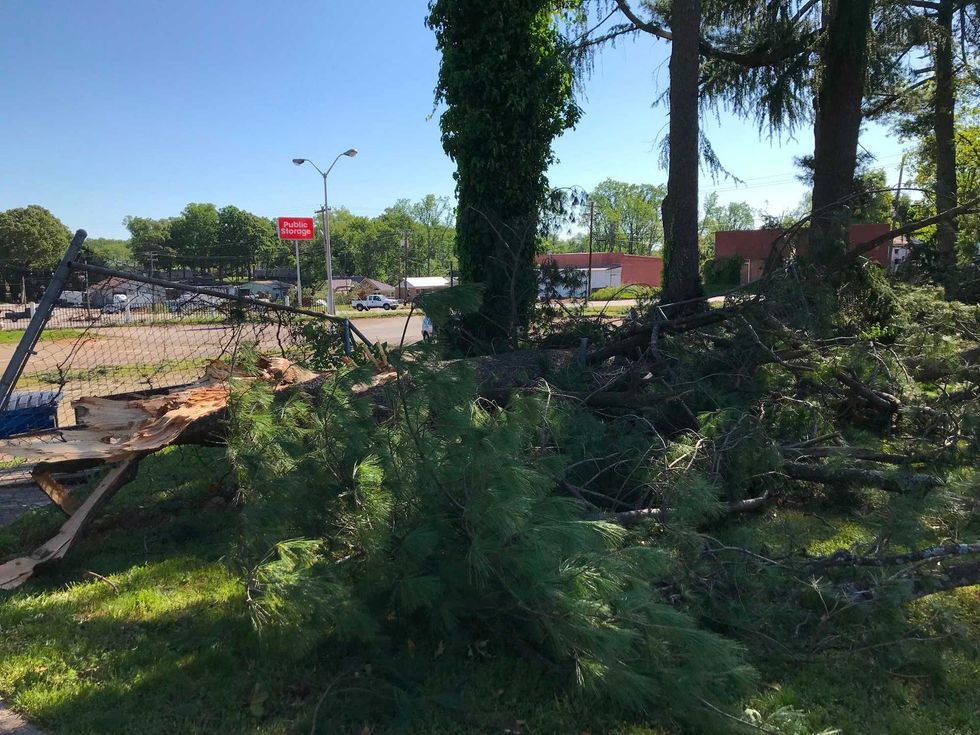 Fences Behind Shepherd's Case Smashed