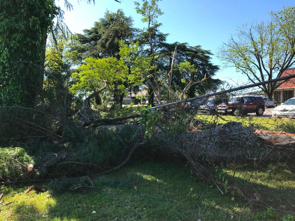 Fences Smashed at Shepherd's Care