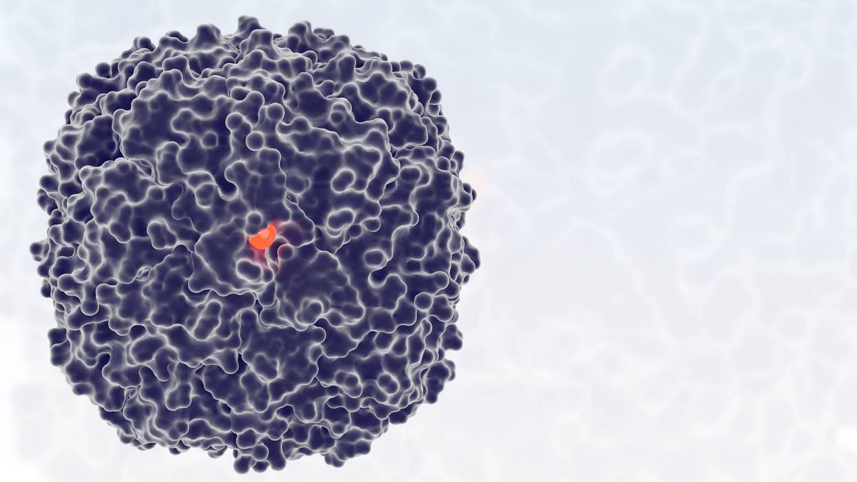 Ferritin protein nanocage, an iron-storage macromolecule. Molecular surface model. Scientific illustration with copy space for hematology and biochemistry. 3D rendering