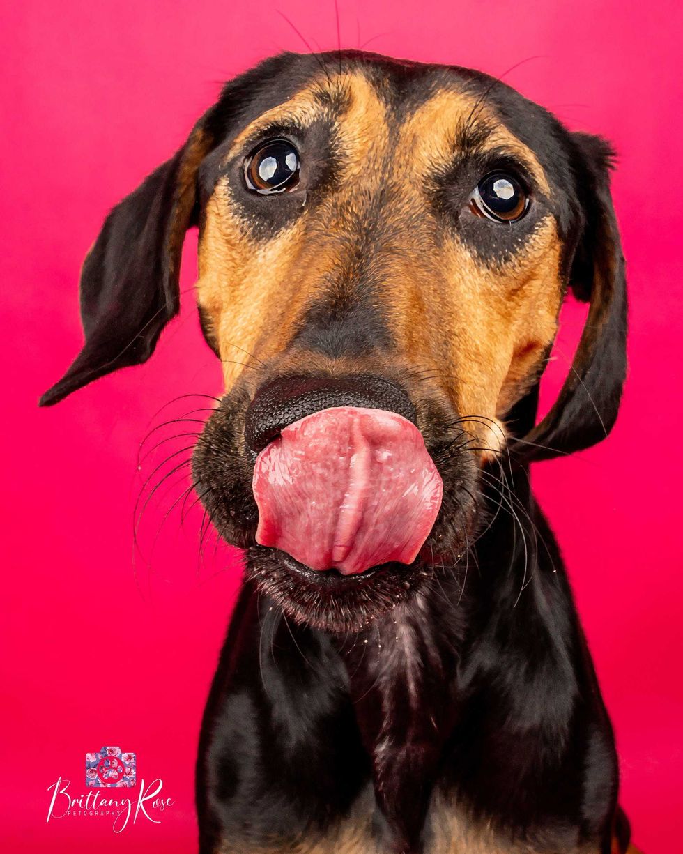FETCH a Cure
