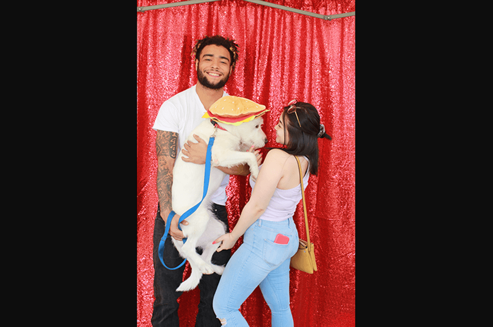 Fido Fest