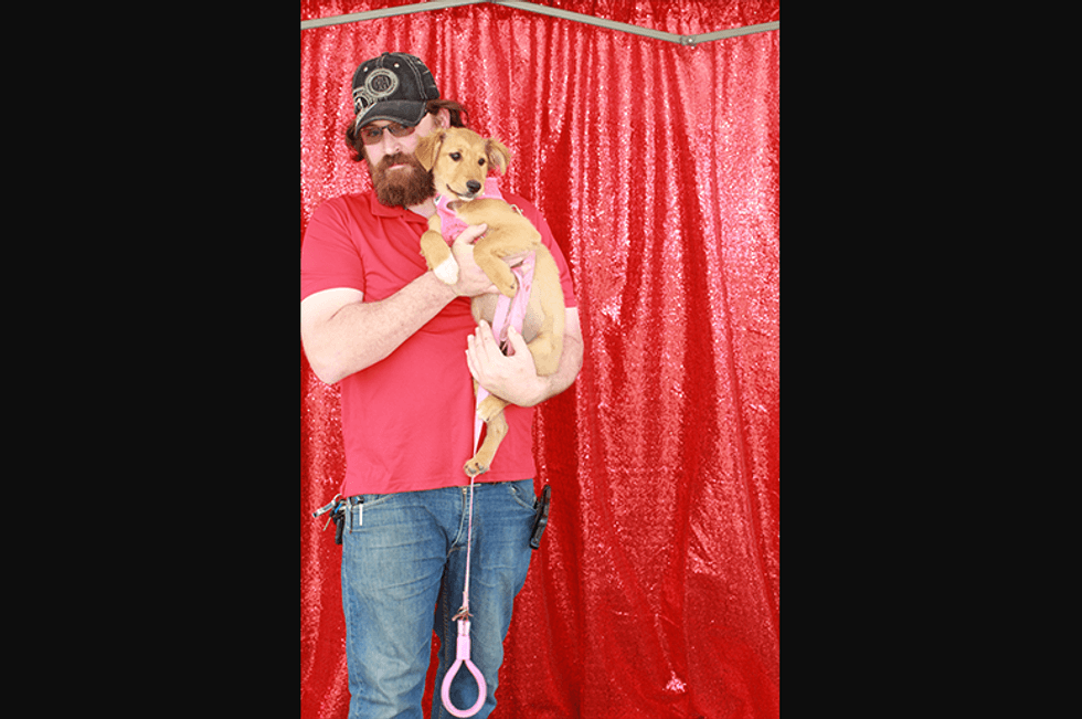 Fido Fest