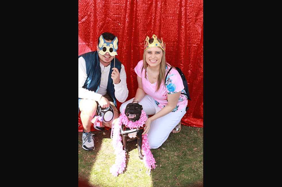 Fido Fest