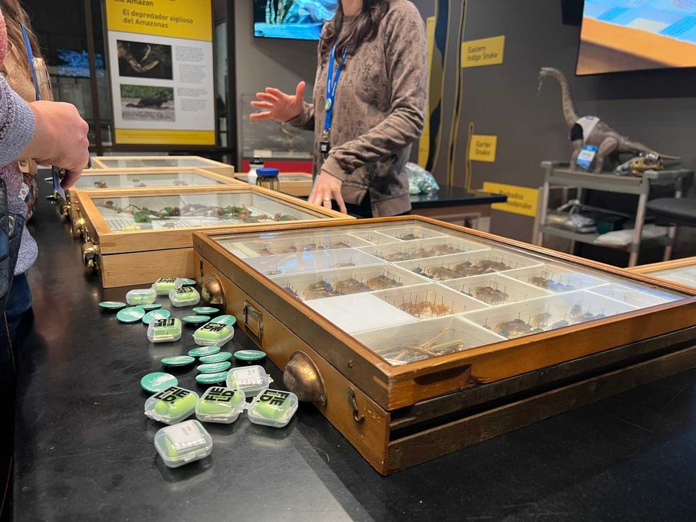 Field Museum Meet a Scientist event