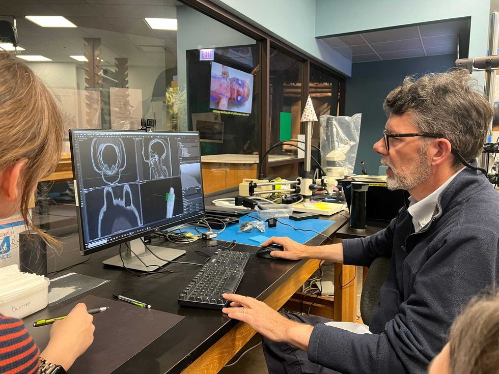 Field Museum researchers examine a mummy using a CT scan