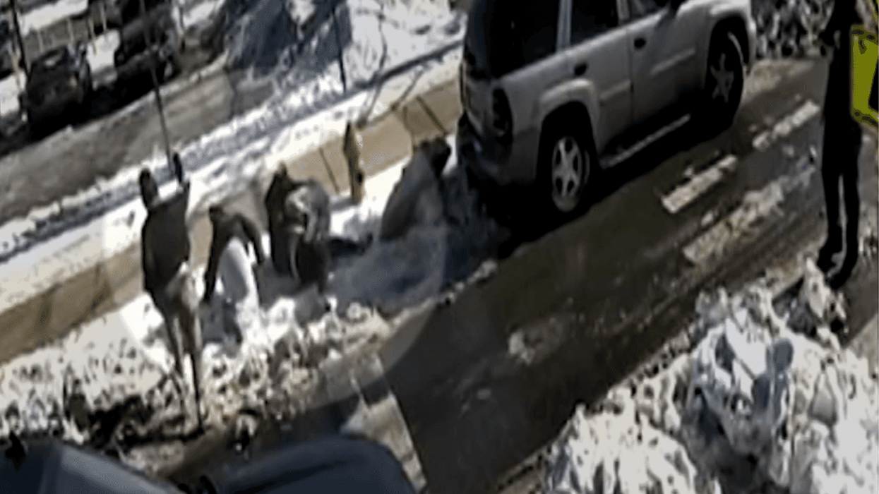 Fight over parking spot in Kensington