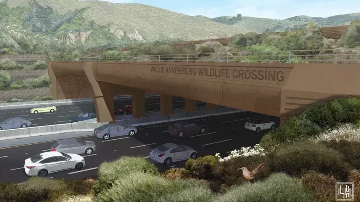 FILE - Concept photo of the Wallis Annenberg Wildlife Crossing. When completed, the bridge-like crossing will be the largest urban cross of its scale and extend 210 feet over 10 lanes of highway and pavement near Liberty Canyon in Agoura Hills, Calif.