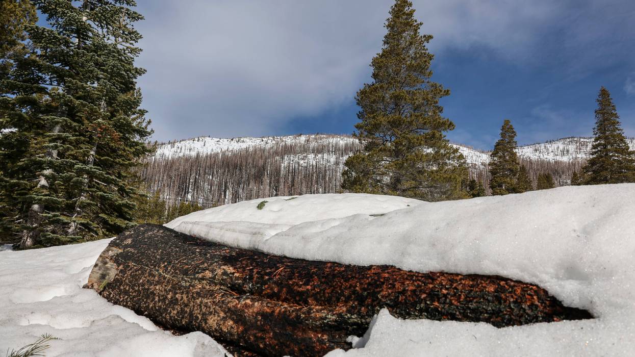 FILE - In this photo provided by the California Department of Water Resources, snow covers the meadow where a snow survey was conducted at Phillips Station, Calif., Jan. 30, 2024.