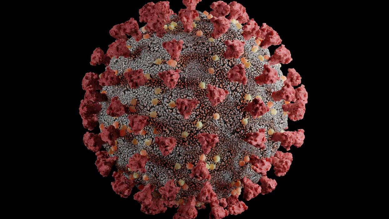 FILE PHOTO. A file photo of a detailed and scientifically accurate 3D model of the SARS-CoV-2 virus at atomic resolution.