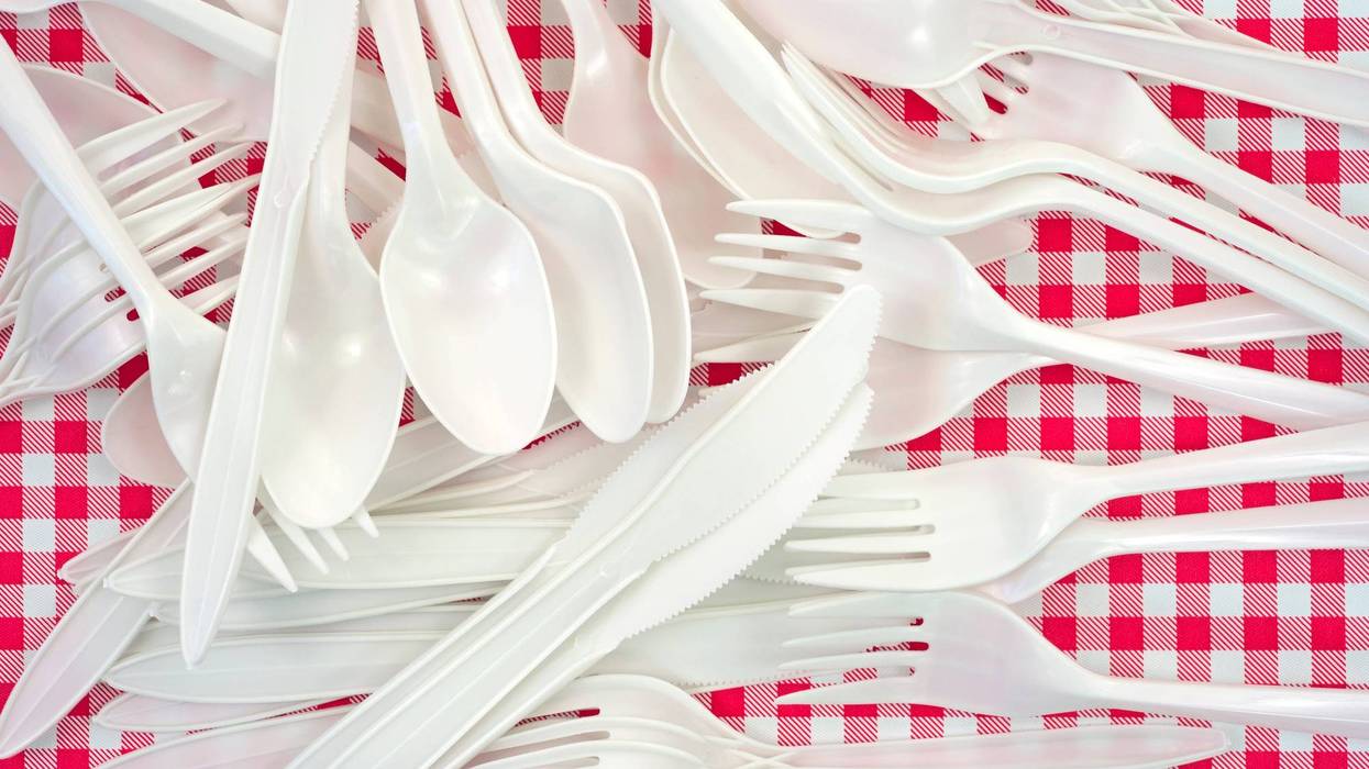 File photo of plastic forks, spoons and knives on a red checkered table cloth.