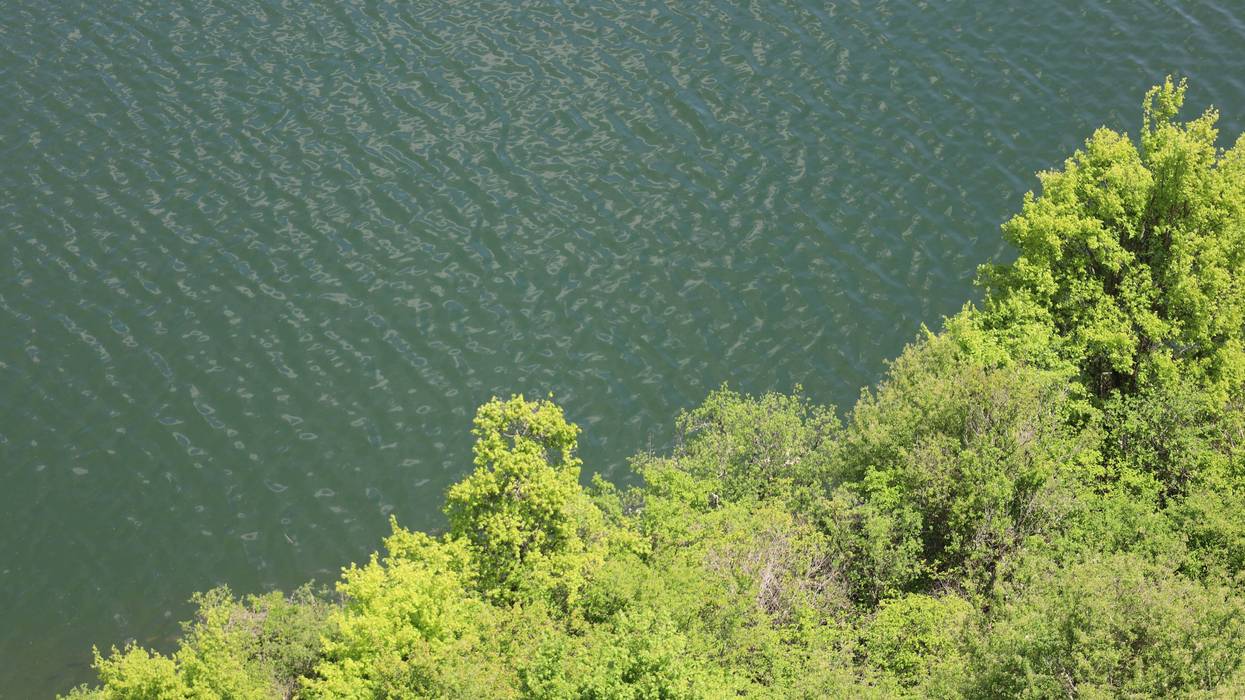FILE: Shoreline