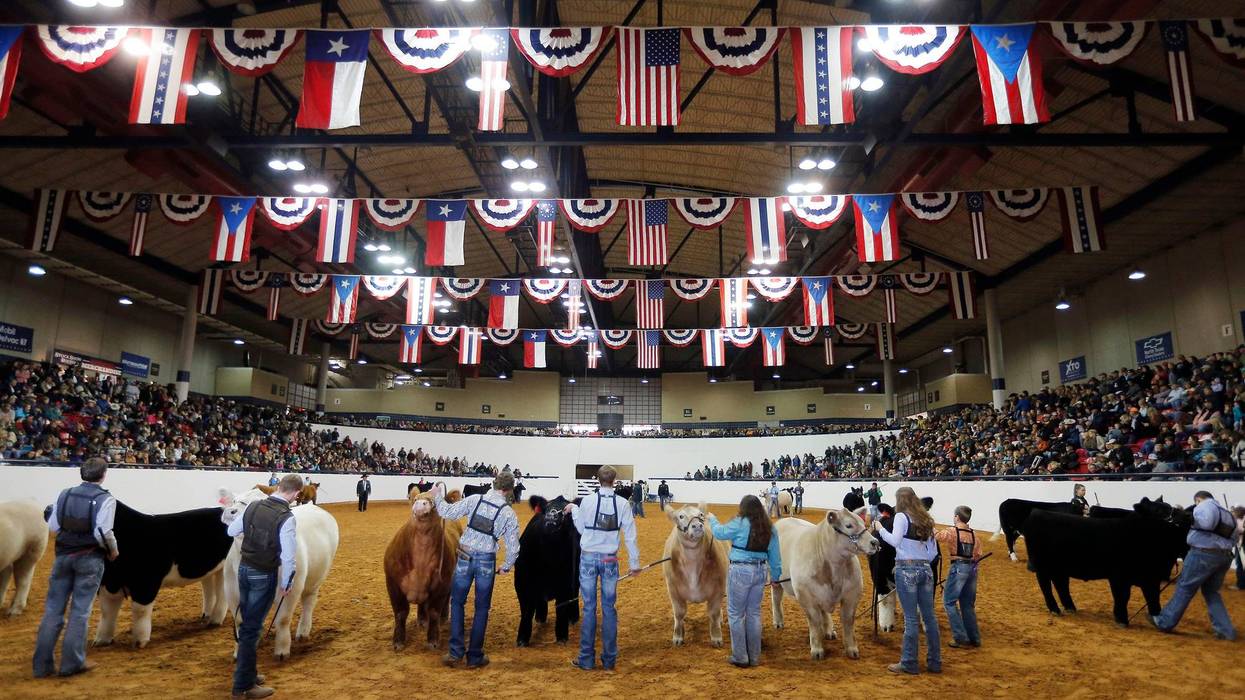 FILE: The Fort Worth Stock Show and Rodeo on Friday, Feb. 5, 2016, in Fort Worth, Texas.