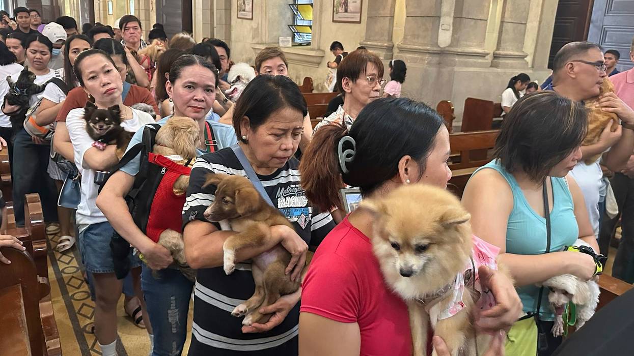 FILIPINAS BENDICION DE MASCOTAS