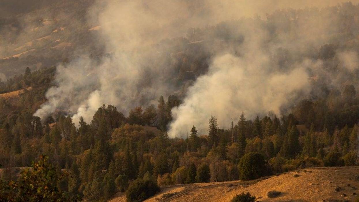 Fire consumes forests in the Pine Flat area as the Windy Fire continues to spread on September 27, 2021, south of California Hot Springs, California. The wildfire has burned through numerous groves of giant sequoia trees and is now threatening small communities scattered throughout the Southern Sierra foothills in Sequoia National Forest, south of Sequoia National Park and Giant Sequoia National Monument.