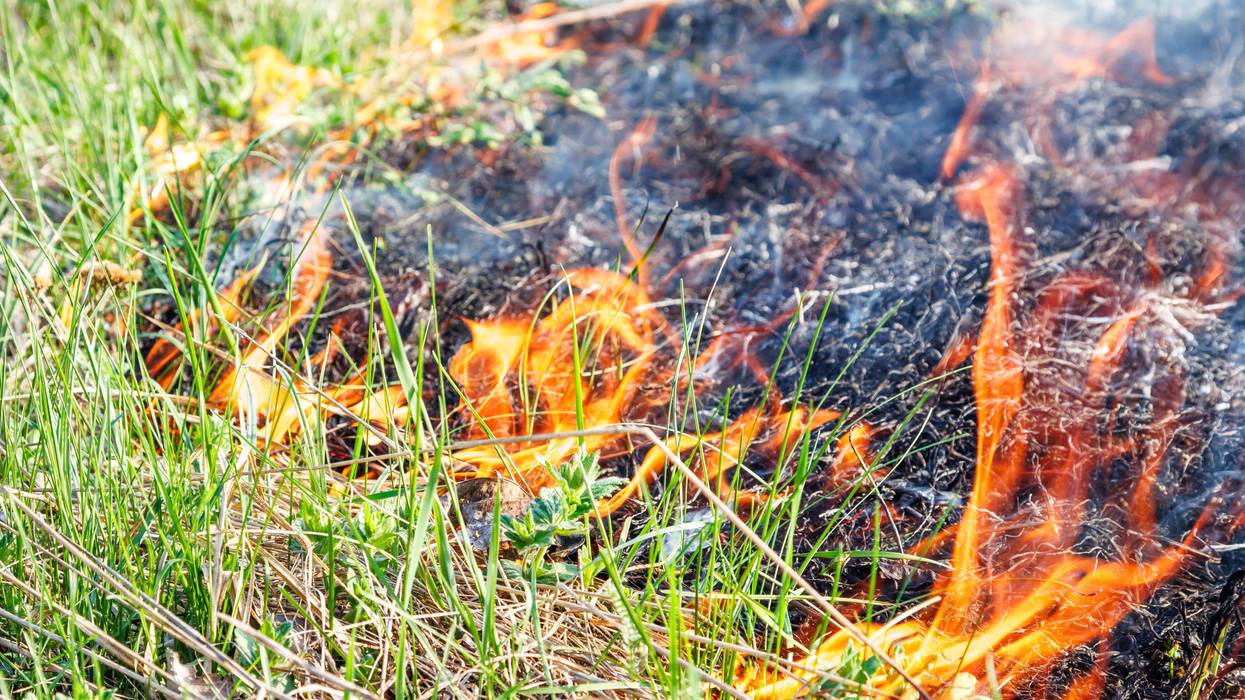 fire in the brush