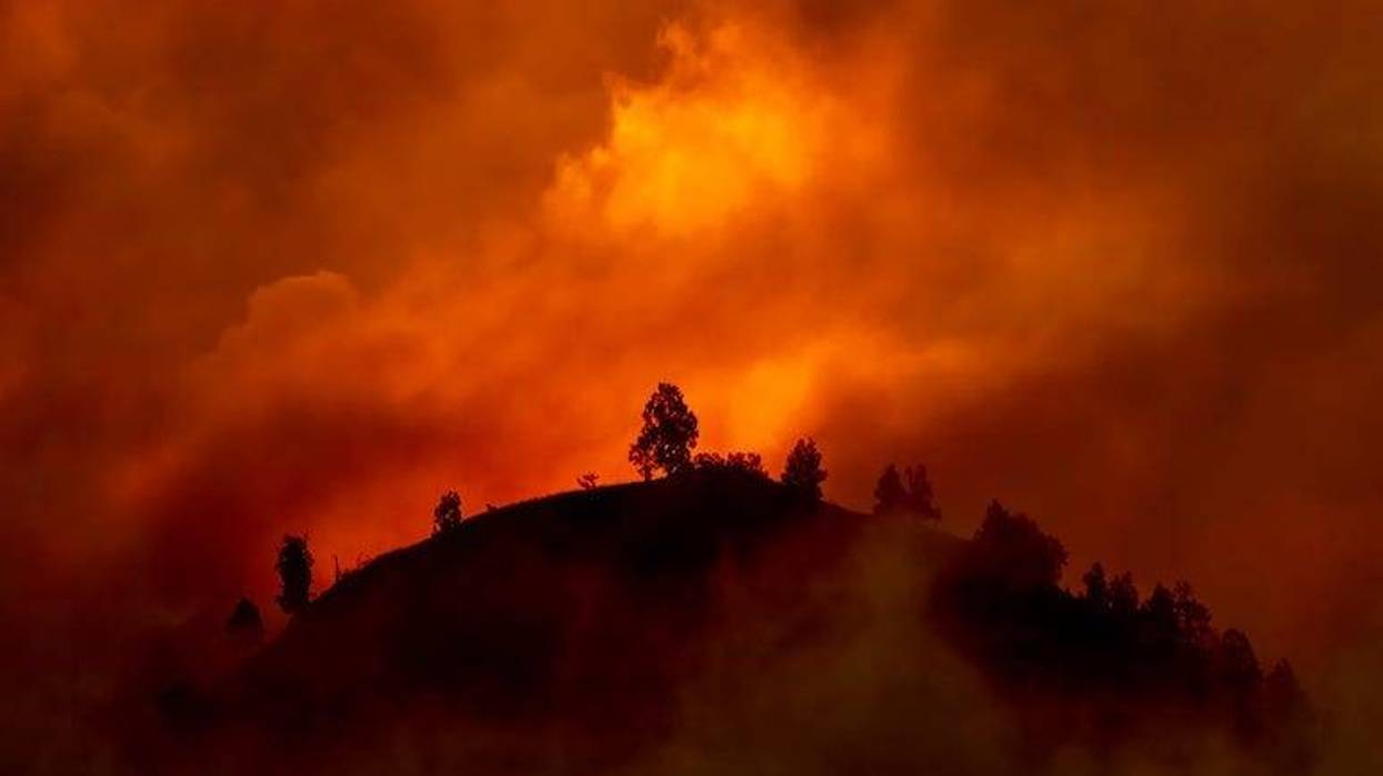 Fire, Wildfire, California, Hill, Trees
