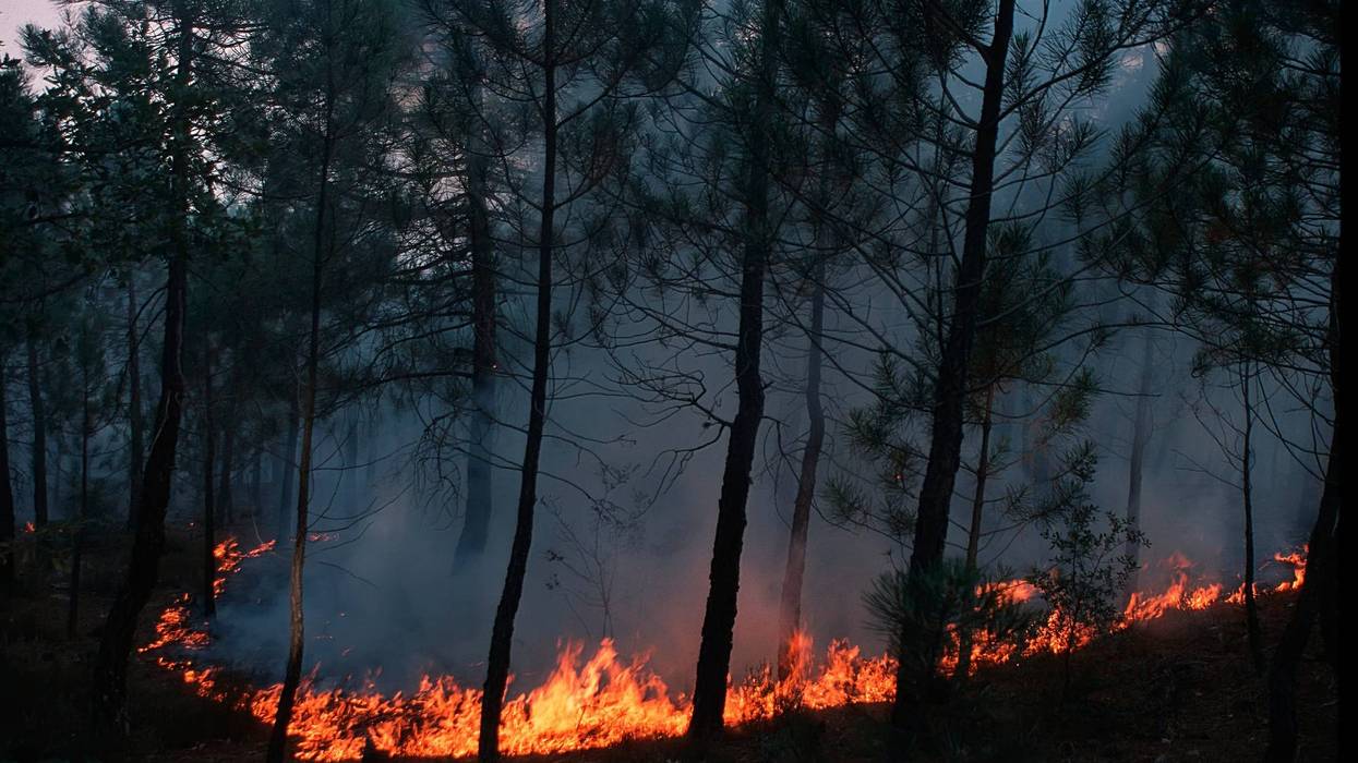 Fire